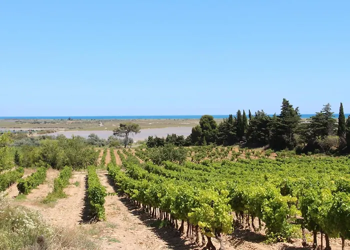 펜션 Santa Marina-7 By Interhome Saint-Pierre-la-Mer (Aude)